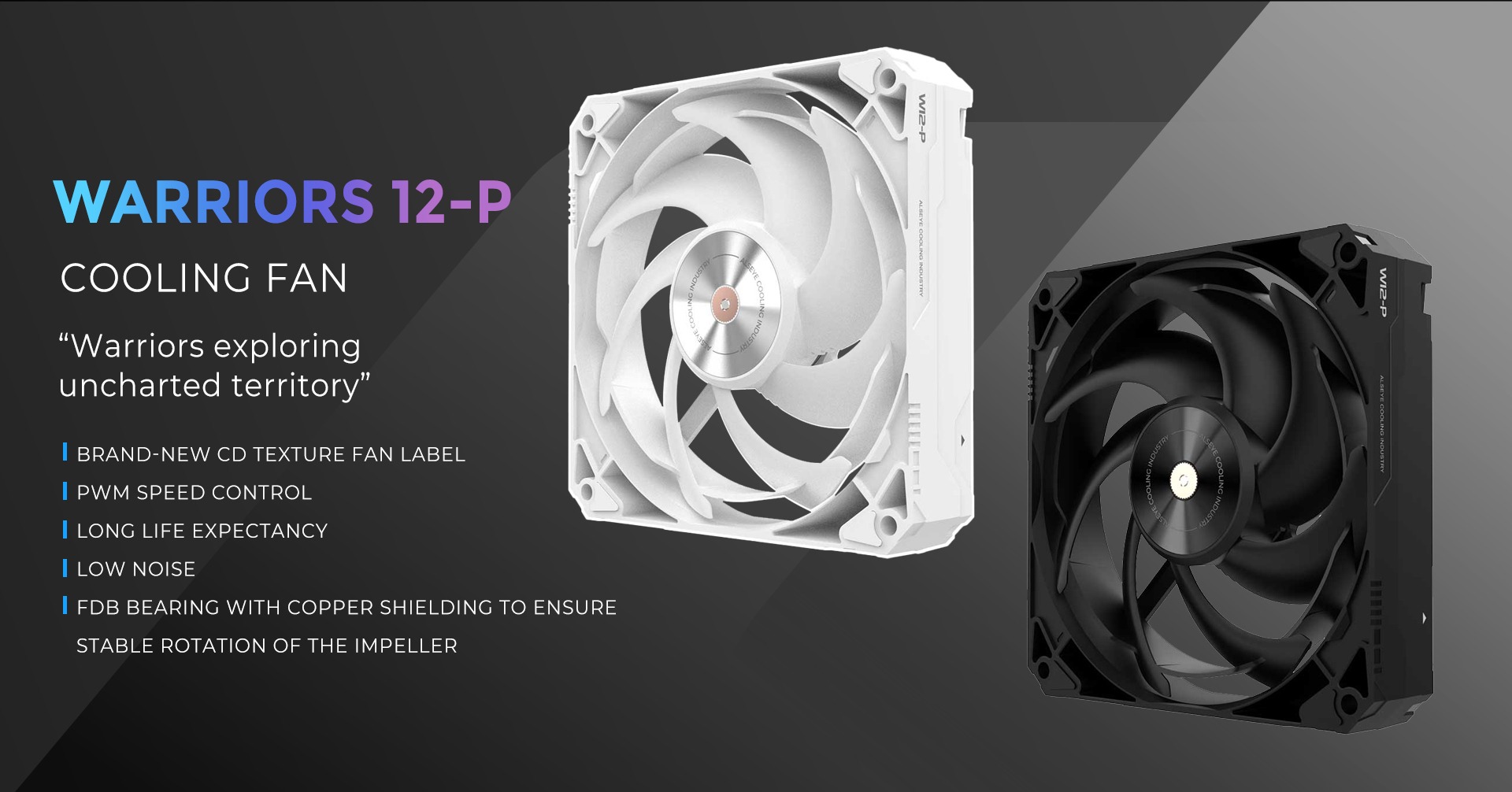W12-P_01